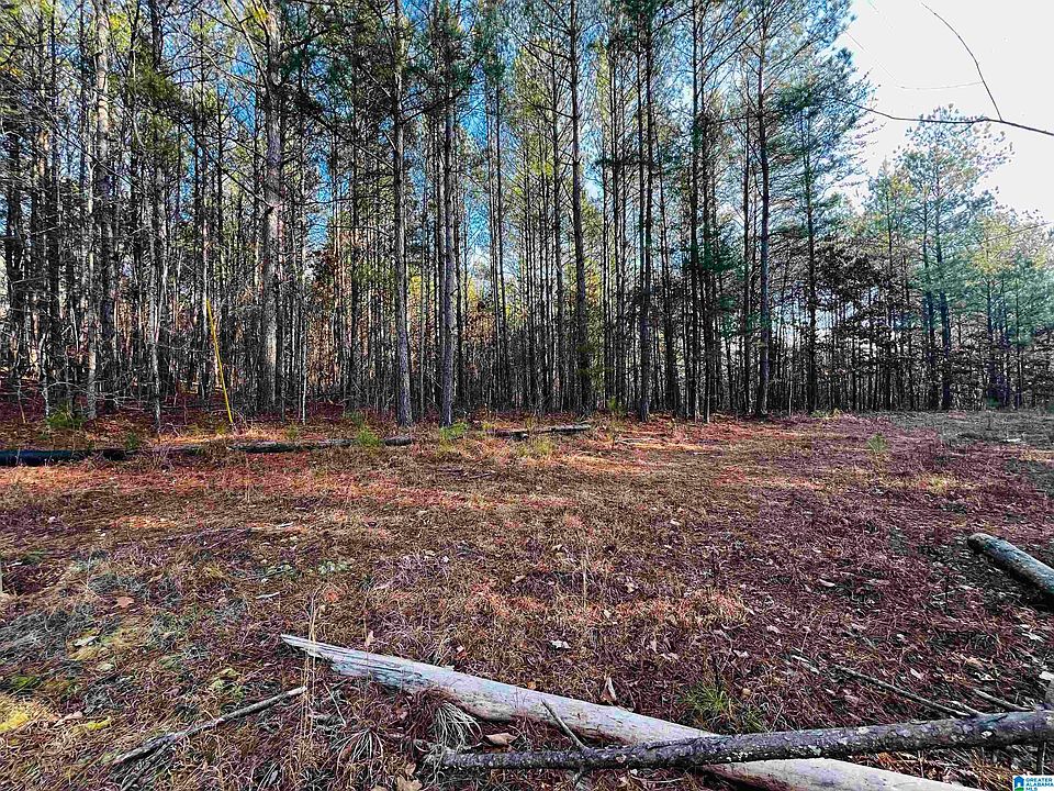 2nd image of 0 Old Piedmont Gadsden Hwy #0