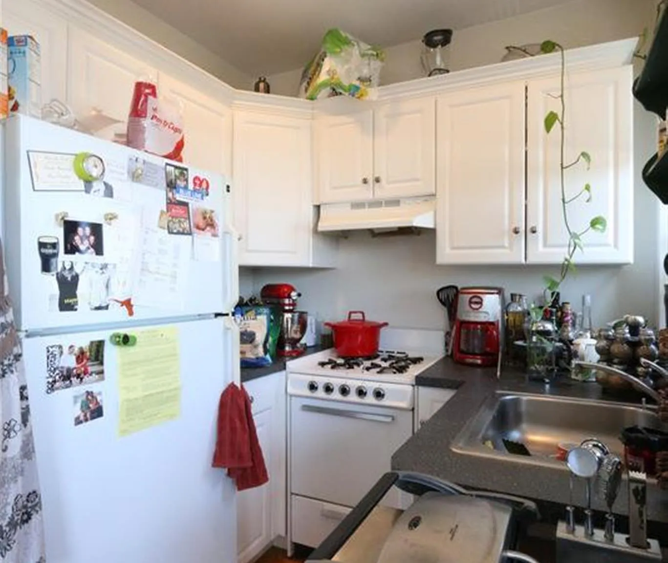 2 bed, $3,900 — Photo 4