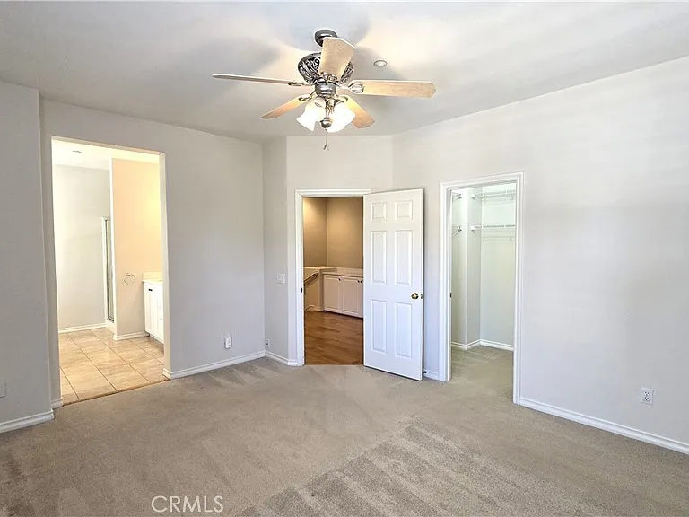 29 Carnation — Photo 21