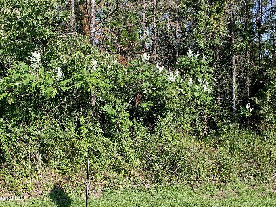 2nd image of 0 Drake Ldg