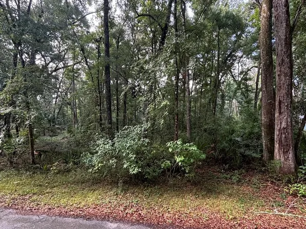 2 NE 83rd Ave, Old Town, FL 32680
