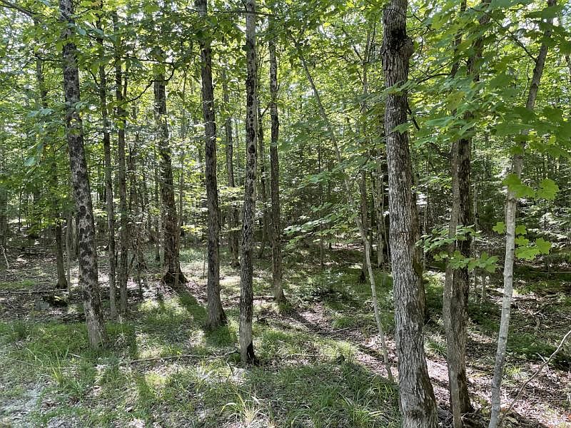 2nd image of LOT 6 E Shines Lake Rd