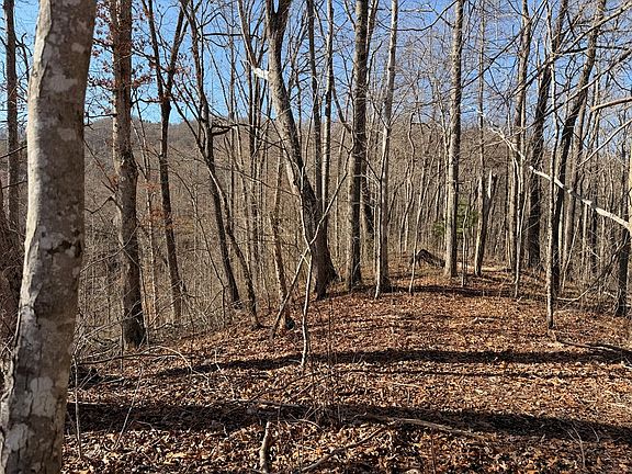 4th image of 0 Posey Blanton Rd