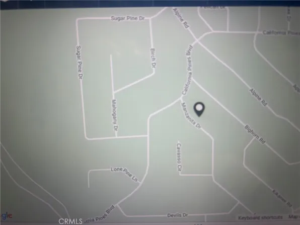 0 Manzanita Dr #6, Likely, CA 96116