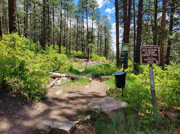 1291 Pine Tree Drive, Bayfield, CO 81122