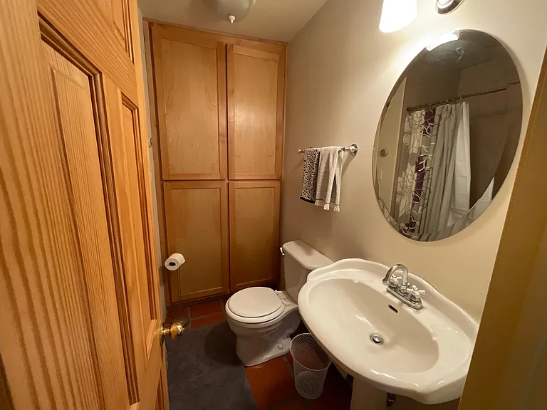 Bathroom 1, tub and shower, custom solid wood cabinet