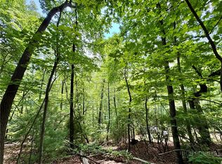 35 Acres Lot 23 Bear Track Lane, Lenoir, NC 28645