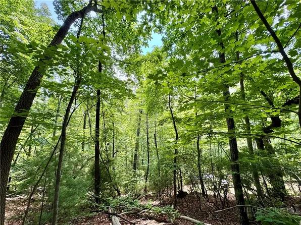 35 Acres Lot 23 Bear Track Lane, Lenoir, NC 28645