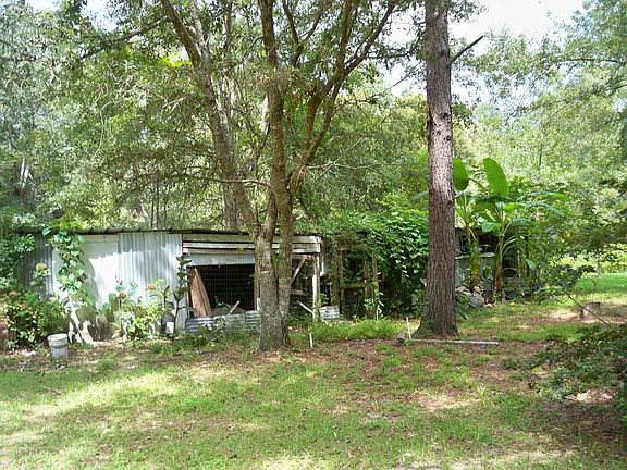 5th image of 32065 Dogwood Ln
