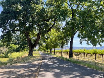 1086 Vineyard Lane, Napa, CA, 94558