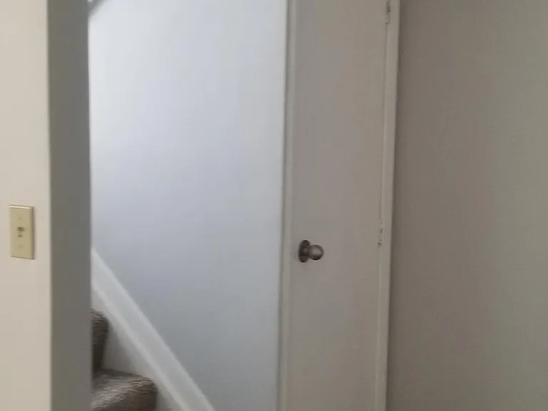 Door leads to large storage are under stairs.