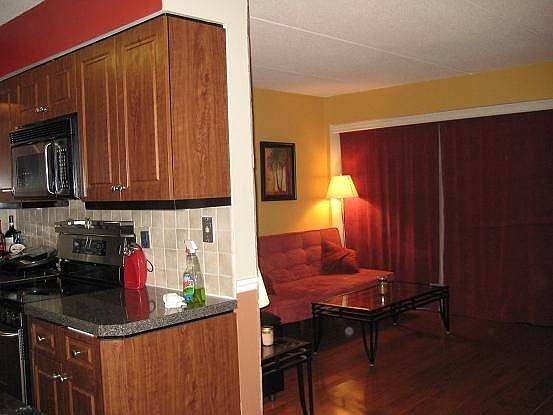 4th image of 205 Mineola Blvd