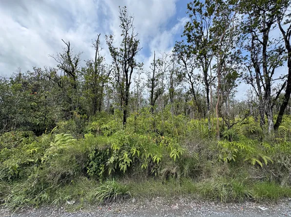 Omeka Rd Lot 73, Volcano, HI 96785