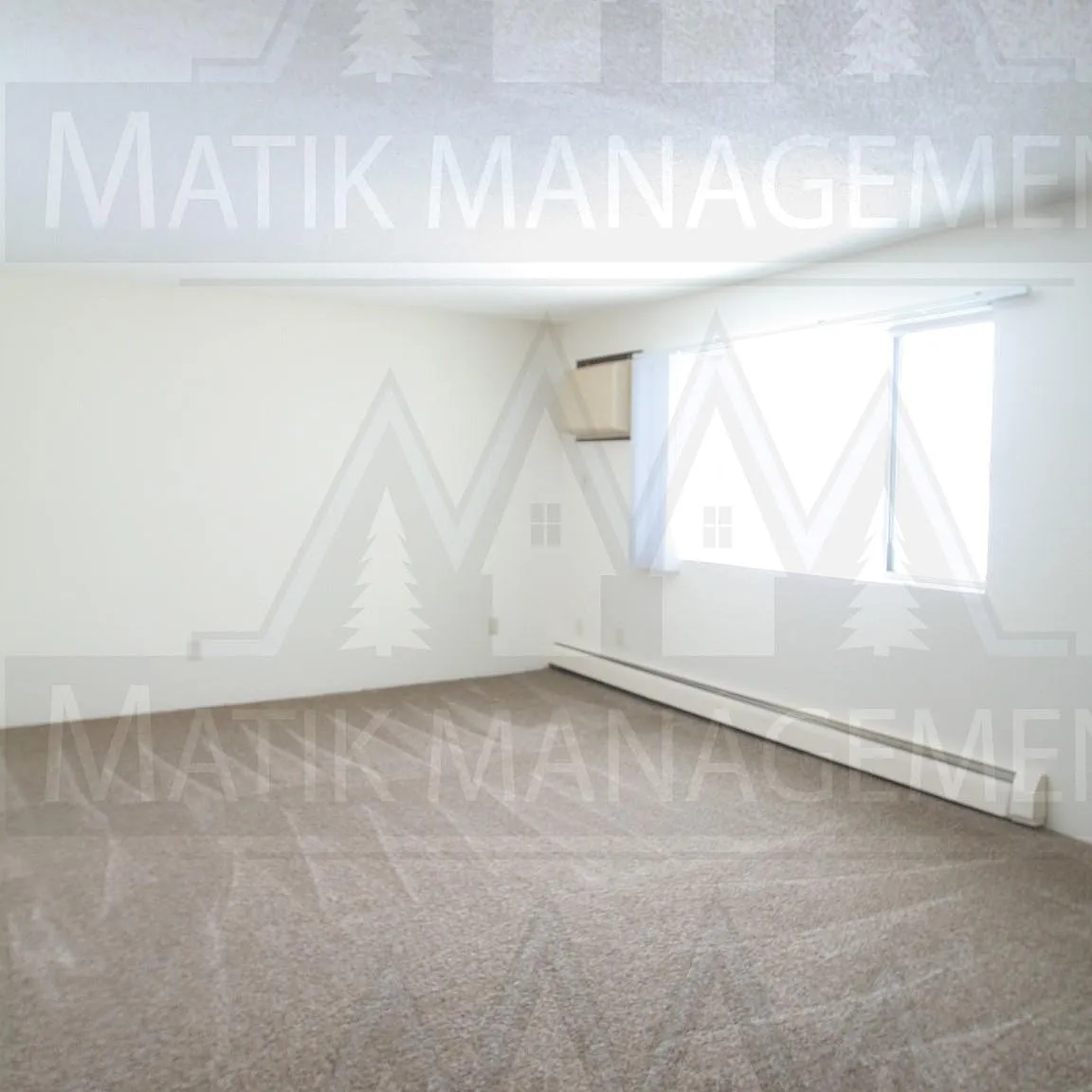 3 bed, $825 — Photo 4