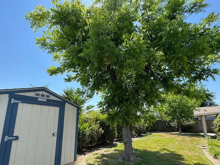 1205 Dominic Way — Photo 34