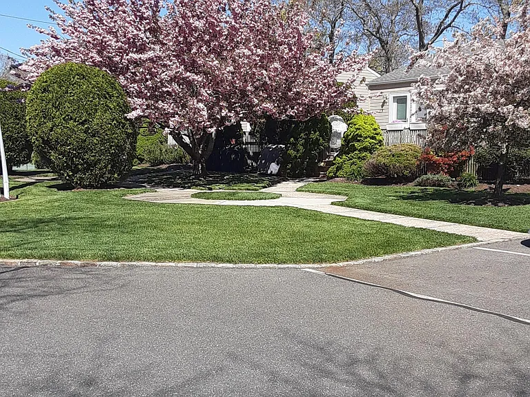 Springville Rd — Photo 29