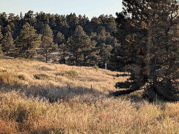 4th image of LOT 149 Coyote Trl