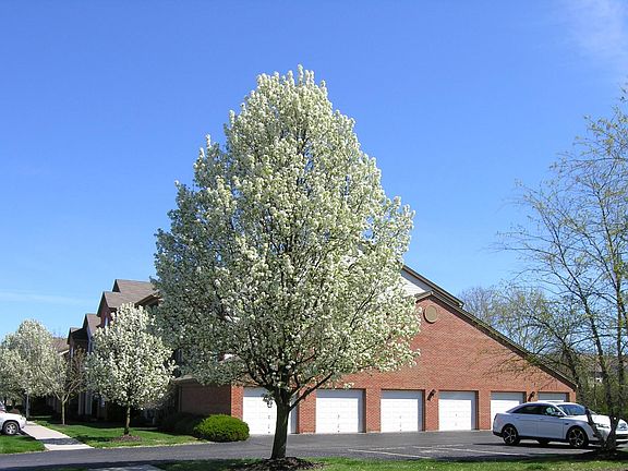 5th image of 8921 Hunters Creek Dr APT 311