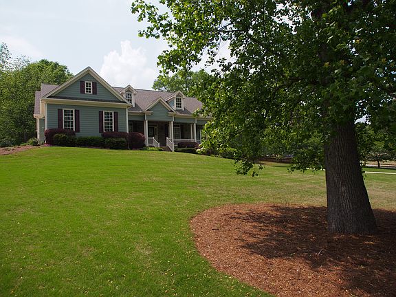large Sycamore and oak trees