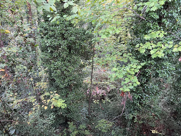 704 Mohawk Dr — Photo 46