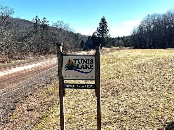 10 Alpine Dr Lot 10, Bovina Center, NY 13740