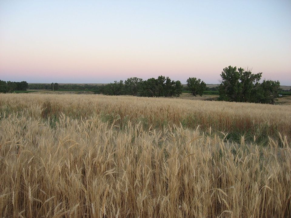 2nd image of 26 Road 111
