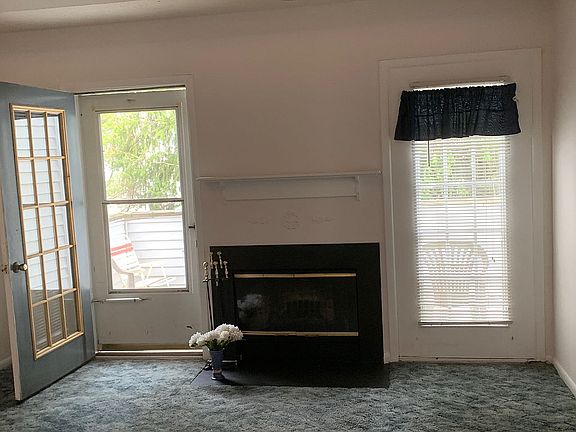 Living Room Back Doors