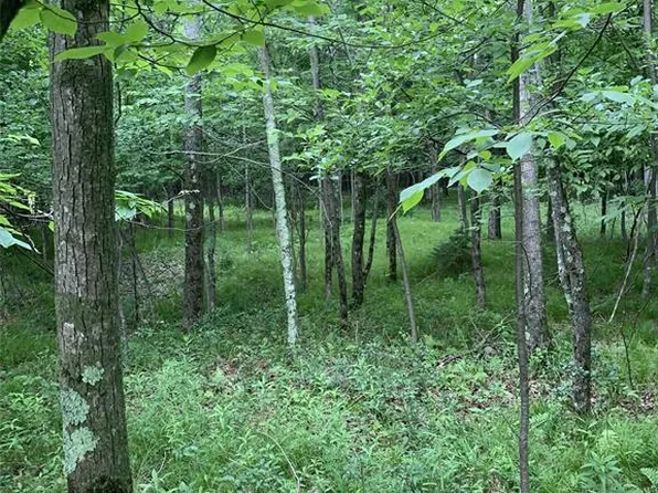 Lot 14 4th Add. Margaret Lane, Park Falls, WI 54552