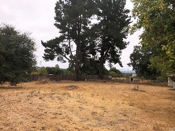 2nd image of 310 Lily Vine Ln
