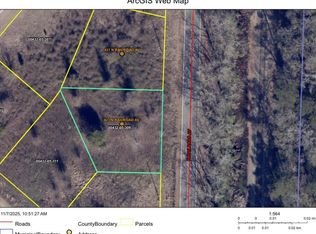 421 N Railroad Ave, Johnsonville, SC 29555