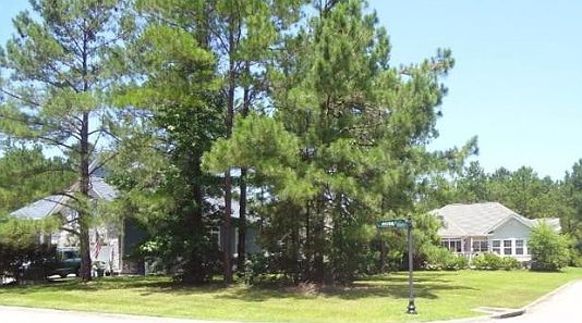 1st image of 8810 Archdale Dr NW