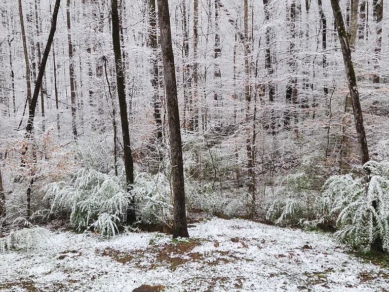710 County Road 807 — Photo 27