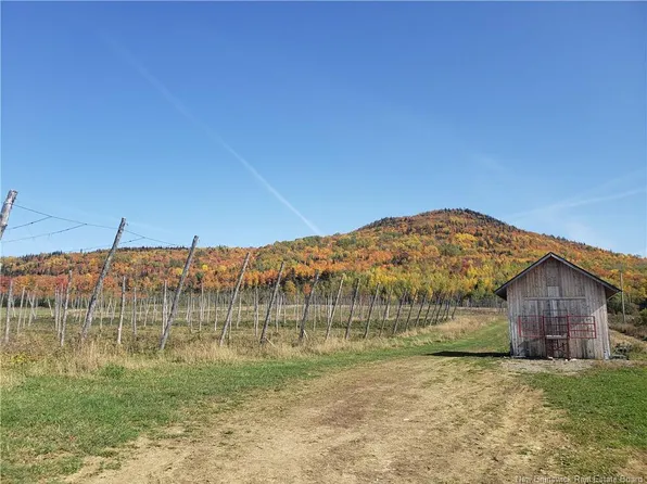 116 Maplehurst Rd, Kent, NB E7J 1T1