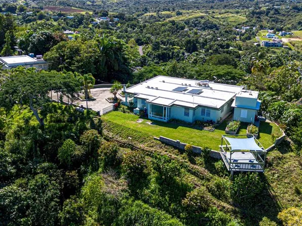 State Highway 811 Km #4.0, Corozal, PR 00783