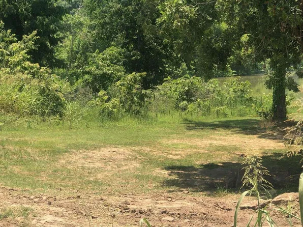 State Highway 3102, Jonesville, LA 71343