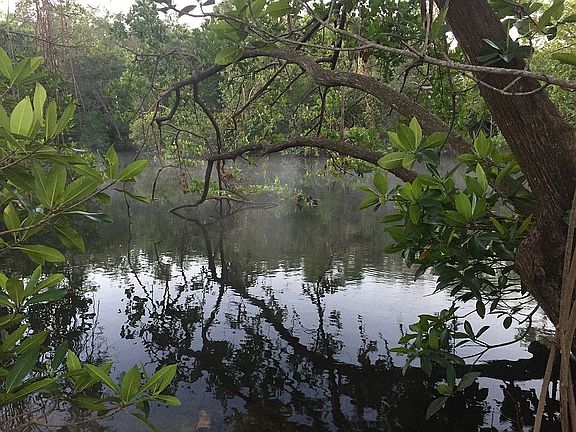 Backyard-  Oleta river view