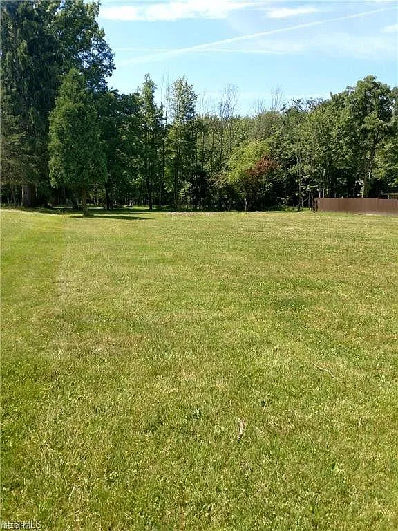 10109 Delsy Dr photo 1
