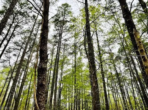 Meadowview Ln, Lancaster, VA 22503