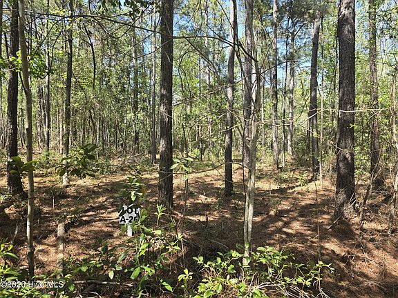 2nd image of LOT-20A Renee Dr
