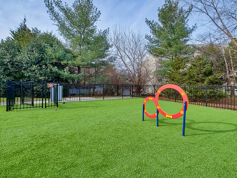 Windsor Herndon — Photo 37