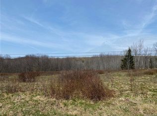 Basil Todd Rd, Fleischmanns, NY 12430