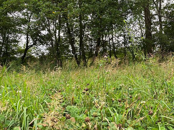5th image of 993 Meadville Rd Lot Wp001