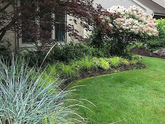 Front yard