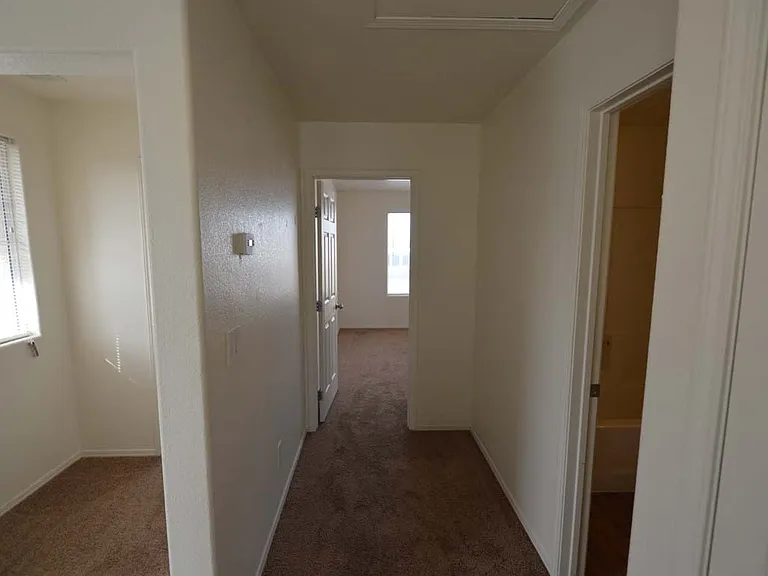 6674 Tulip Falls Dr — Photo 6