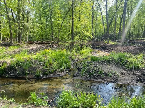 NULLD Behler Rd, Ravenna, MI 49451