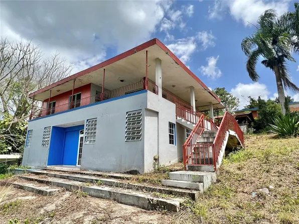 Las 40 Street Unibon Comunidad Ramon Pabon Lote A #Bo-2, Morovis, PR 00687