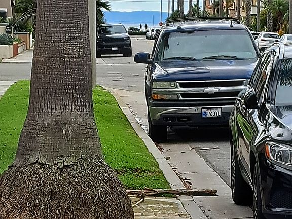VIEW OF CATALINA FROM SIDEWALK
