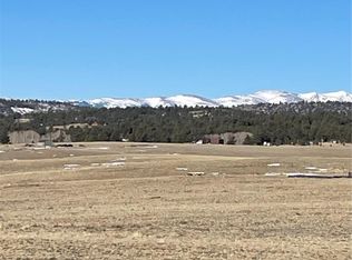 148 Grand Teton Drive, Hartsel, CO 80449