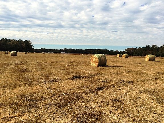 sc land for sale, farmland for sale sc