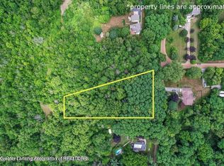 PARCEL Bailey Rd #A, Dimondale, MI 48821